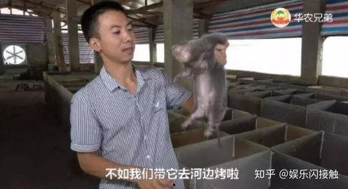 潮汕网红吃瓜事件视频播放,视频播放量惊人,网友热议不断 第2张 潮汕网红吃瓜事件视频播放,视频播放量惊人,网友热议不断 第2张